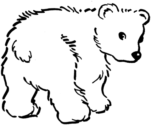 Cute Brown Bear Cub Coloring Page